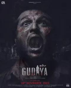 Read more about the article Gudiya (2023) [Punjabi]