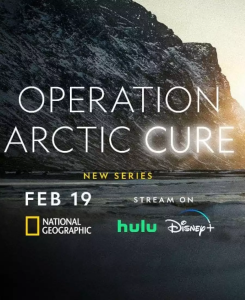 Read more about the article Operation Arctic Cure (2024) 