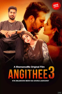 Read more about the article Angithee 3 (2024) [Hindi] 