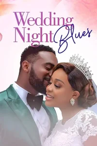 Read more about the article Wedding Night Blues (2024)