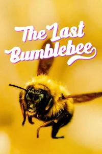 Read more about the article The Last Bumblebee (2024)