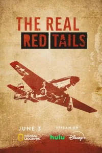 Read more about the article The Real Red Tails (2024)