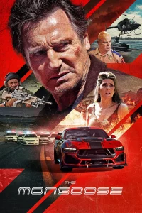 Read more about the article The Mongoose (2026)
