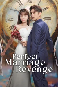 Read more about the article Perfect Marriage Revenge S01 (Complete) | Korean Series